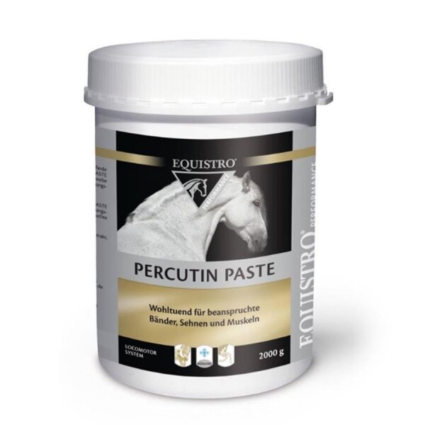EQUISTRO Percutin-Paste