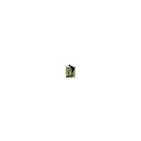 T-Post Zieher