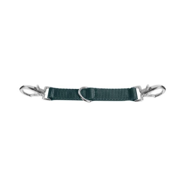 Longierbrille