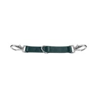 Longierbrille