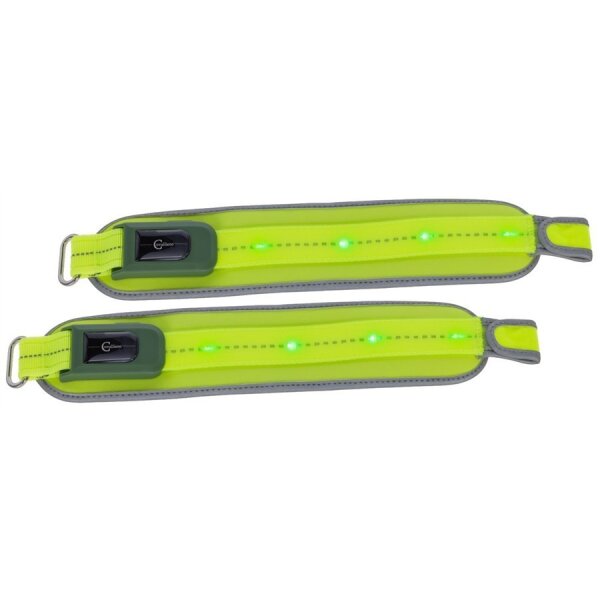 Leuchtgamasche LED