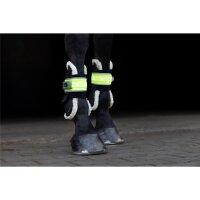 Leuchtgamasche LED