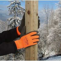 Handschuh PowerGrab Thermo
