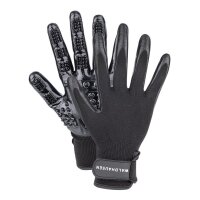 Putz- und Pflegehandschuh