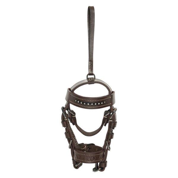 Bridle charm HVPLegacy