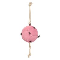 Horse ball HVPVolley