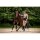 Cavallo Hybridjacke CAVALBLU