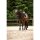 Cavallo Schabracke CAVALPOLLY
