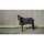 EQUITHÈME Decke – Drycool Standard