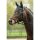 Fliegenhaube -Sports-