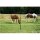 T Post ECO | Metallpfahl horizont 1,82 m