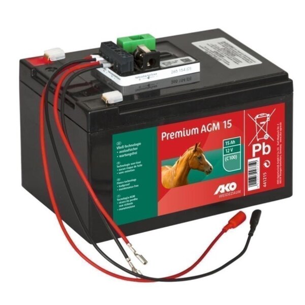 Premium AGM 15 wiederaufladbare 12 Volt Batterie