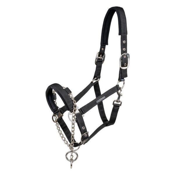 Halfter Pro Safety